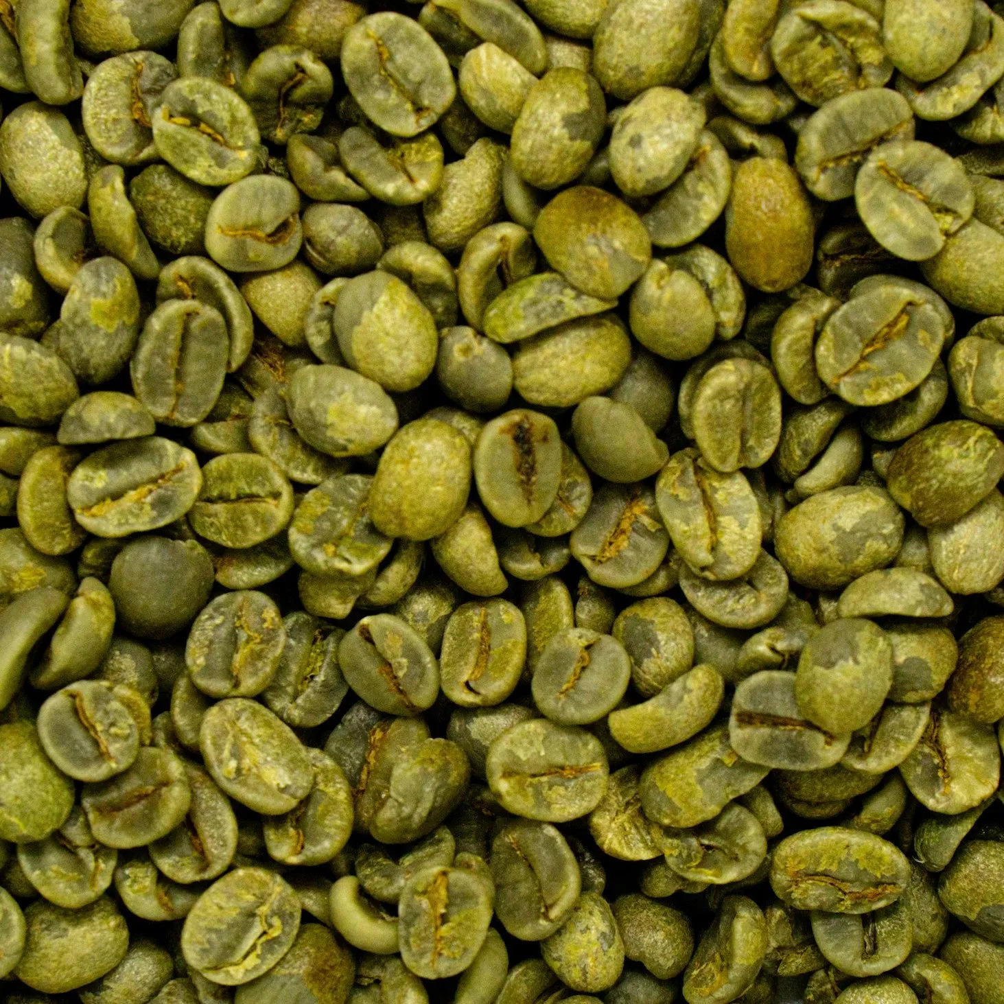A pile of green coffee beans, close up.